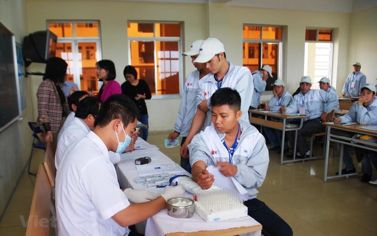 Nhiều chính sách có lợi cho người Việt Nam khi đi xuất khẩu lao động ở Hàn Quốc từ tháng 4