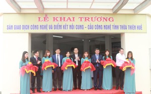 Thừa Thiên Huế khai trương Sàn giao dịch công nghệ và Điểm kết nối cung - cầu công nghệ 