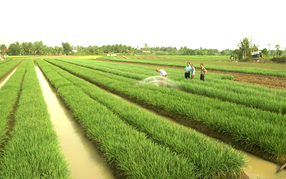 Thủ tục tách thửa đất nông nghiệp năm 2022 chính xác nhất