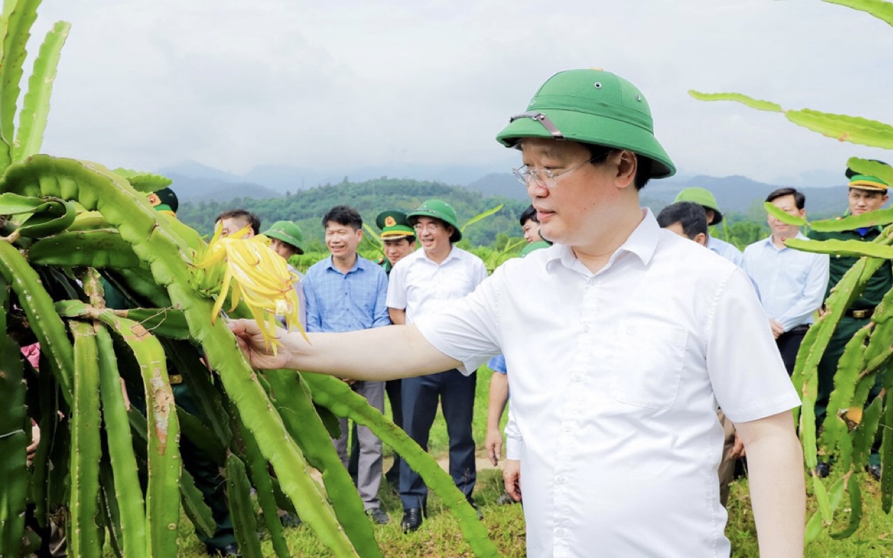 Tương Dương (Nghệ An) hợp với phát triển sinh thái, nông nghiệp hữu cơ, ứng dụng KHCN
