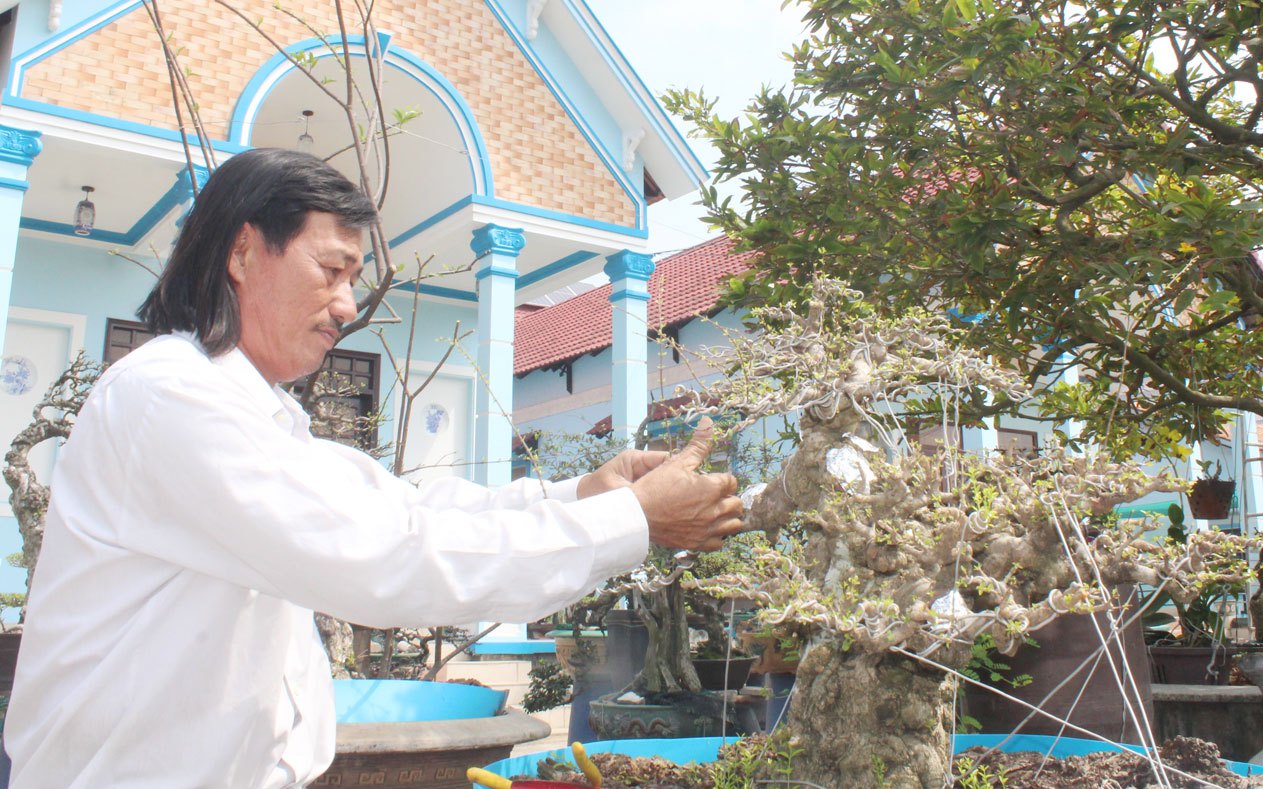 Một ông xe ôm Long An ham chơi cây cảnh, thiên hạ xin bái sư vô số nhưng chỉ nhận 6 người làm đệ tử
