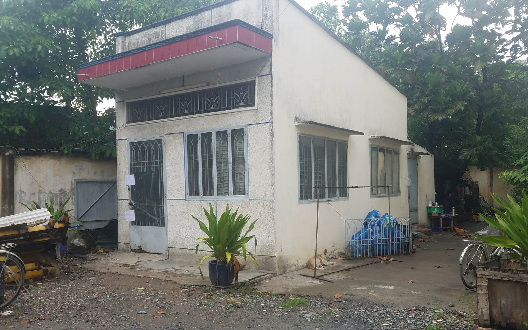 Vụ bé gái 1 tuổi nghi bị bạo hành tử vong ở TP.HCM: Có dấu hiệu tội phạm?
