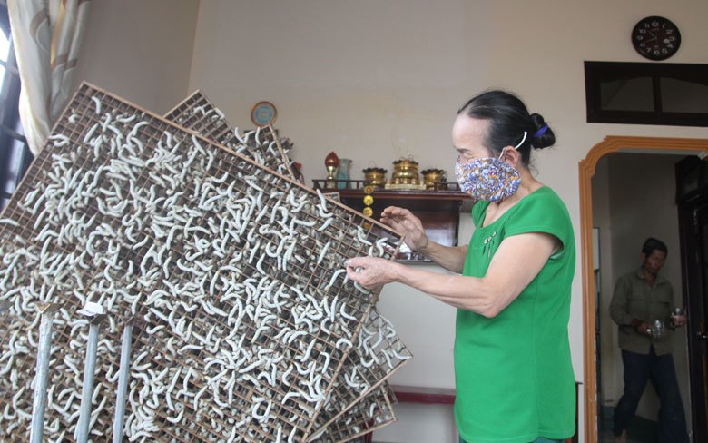 Chỉ nuôi "bầy sâu" trên giàn, ăn lá như ranh này mà một nông dân Lâm Đồng thu tiền tỷ
