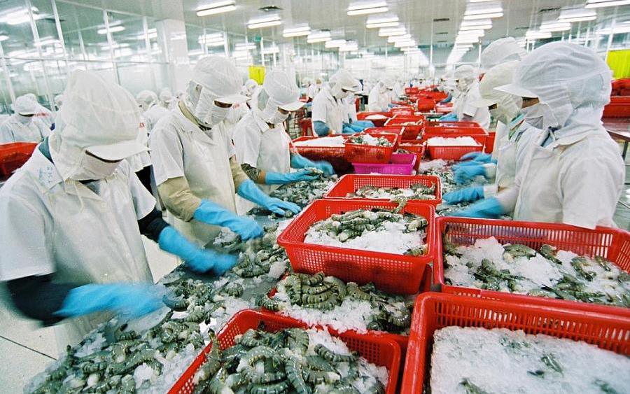 Xuất khẩu hàng hóa sang EU đối mặt nhiều thách thức mới