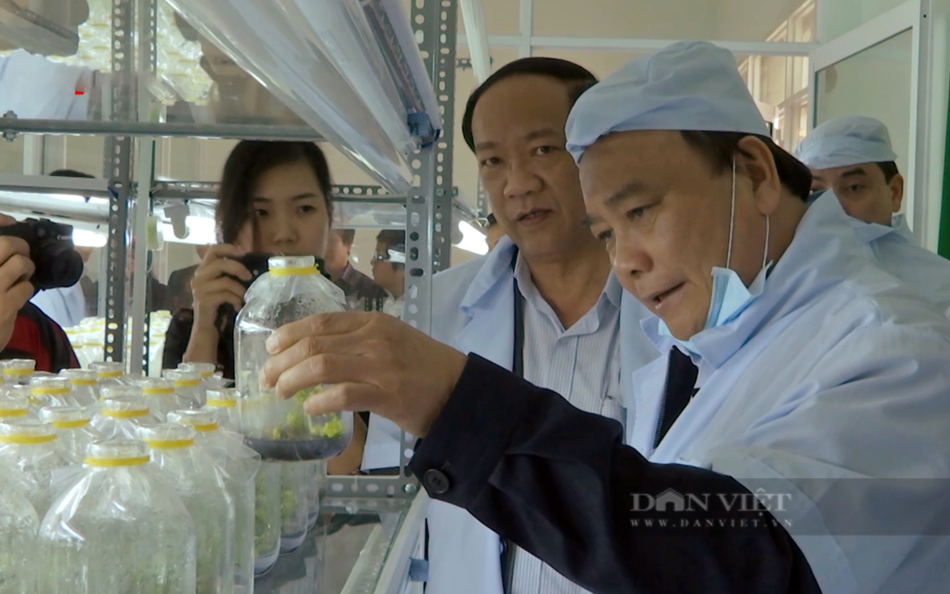 Sớm có chương trình quốc gia phát triển cây &quot;tiền tỷ&quot; sâm Ngọc Linh  