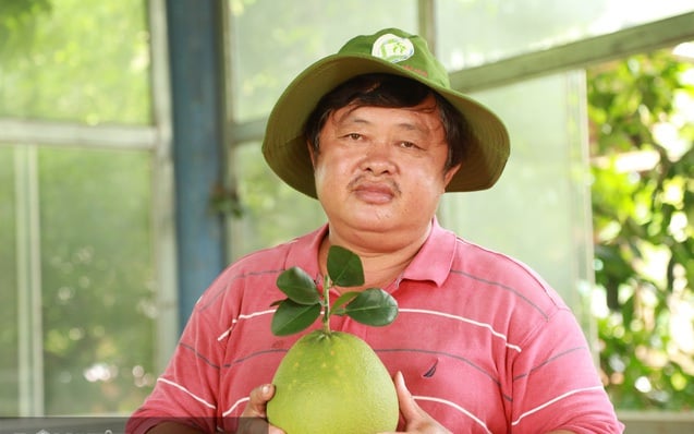 Giá xăng dầu ngày mai thế nào, nông dân không biết, nhưng bà con đang gánh nặng giá cước vận chuyển