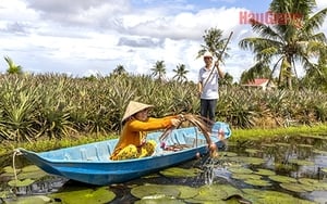 Lung Ngọc Hoàng là khu bảo tồn thiên nhiên hiếm có nằm trọn trong một huyện của tỉnh nào ở miền Tây?