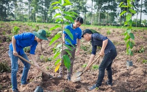 Trung ương Đoàn tổ chức giải bóng đá cho thanh niên nông thôn - Ảnh 4.