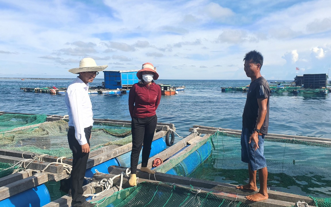 &quot;Bật mí&quot;: Phía sau những nông dân &quot;triệu phú&quot; tại huyện đảo Lý Sơn