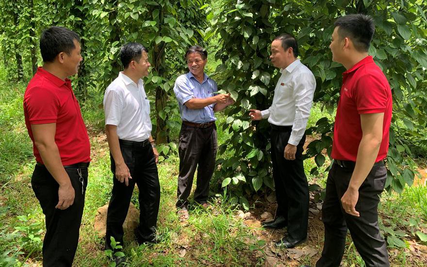 Ngân hàng tiếp vốn: Nông dân xứ Quảng "lợi đơn, lợi kép", tín dụng đen "khóc ròng"