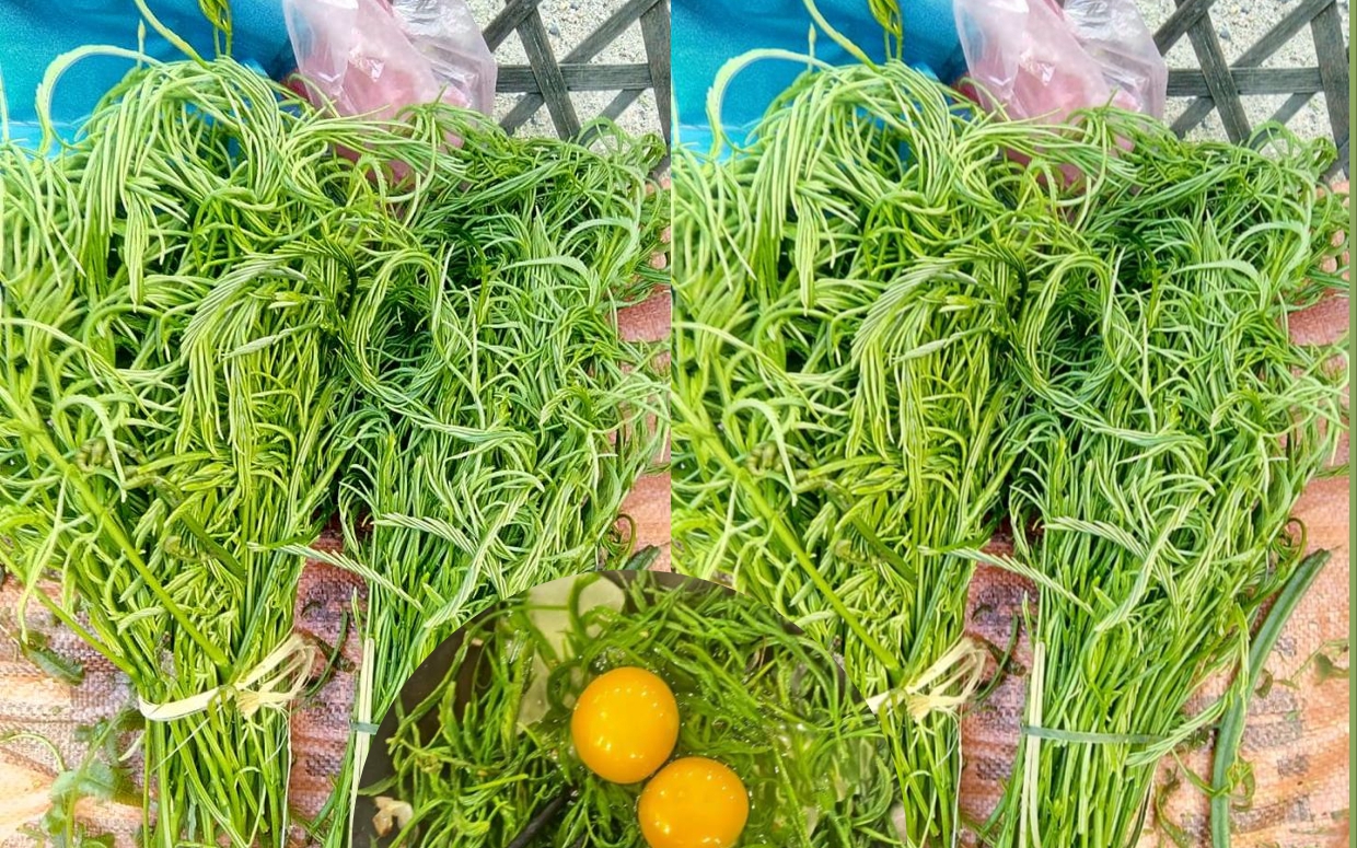 Loại rau dại đặc sản Tây Bắc nghe tên đã muốn "chạy ngay đi" nhưng lại là vị thuốc thiên nhiên chữa bệnh