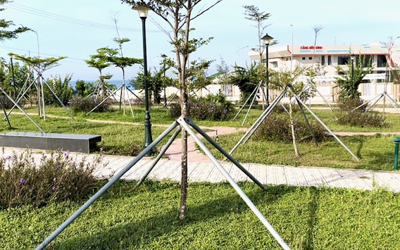 Quảng Ngãi: Tiếp tục chi ngân sách duy trì cây cảnh ngoại dặt dẹo ở dự án chục tỷ 