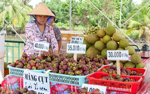 Bình Dương tiếp tục chính sách hỗ trợ vườn cây ăn trái đặc sản, Nhà nước và người dân cùng làm