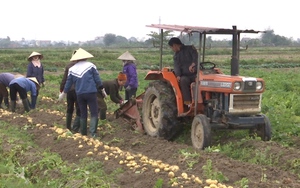 Cơ giới hóa đồng bộ - nông dân nhàn hơn, giàu hơn: Khâu thu hoạch cà phê chỉ được... 0% (Bài 3)