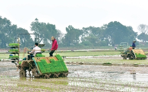 Cơ giới hóa đồng bộ, nông dân nhàn hơn, giàu hơn: Hóa giải 