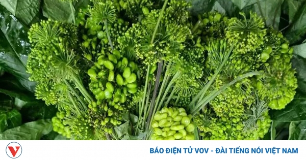 Chiêm ngưỡng loại hoa có giá ngất ngưỡng 8 triệu đồng/kg, khách xếp hàng chờ mua