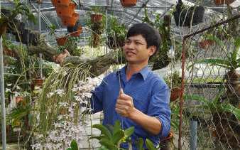 Ở giữa đồng bằng Bắc bộ, trai làng trồng lan rừng thành vườn đẹp &quot;phát hờn&quot;, lạc vào mải ngắm quên đường về