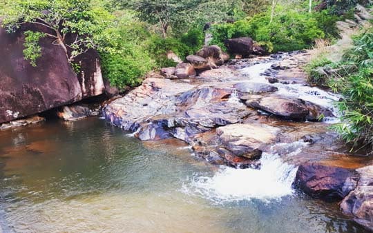 Gia Lai: Dân tá hỏa khi phát hiện thi thể đang phân hủy mạnh dưới suối