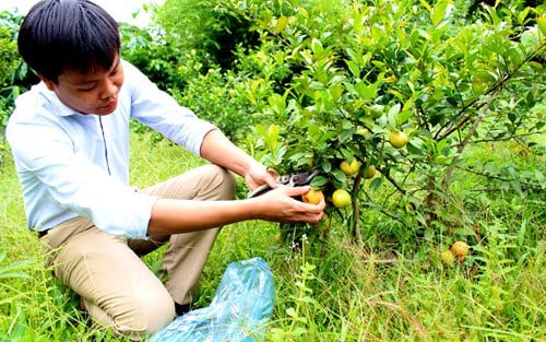 Khoa học và công nghệ tiếp tục là "chìa khóa" trong xây dựng nông thôn mới