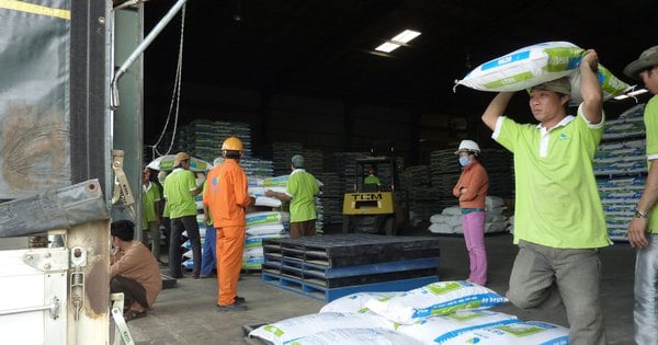 Giá thức ăn chăn nuôi chưa giảm