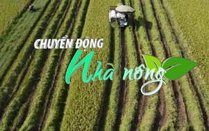 Thắng lợi vụ lúa mùa, nông dân Than Uyên phấn khởi - Ảnh 7.