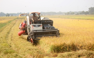 Thúc đẩy kinh tế tuần hoàn, sử dụng hiệu quả phụ phẩm nông nghiệp: Càng chần chừ, chi phí càng cao