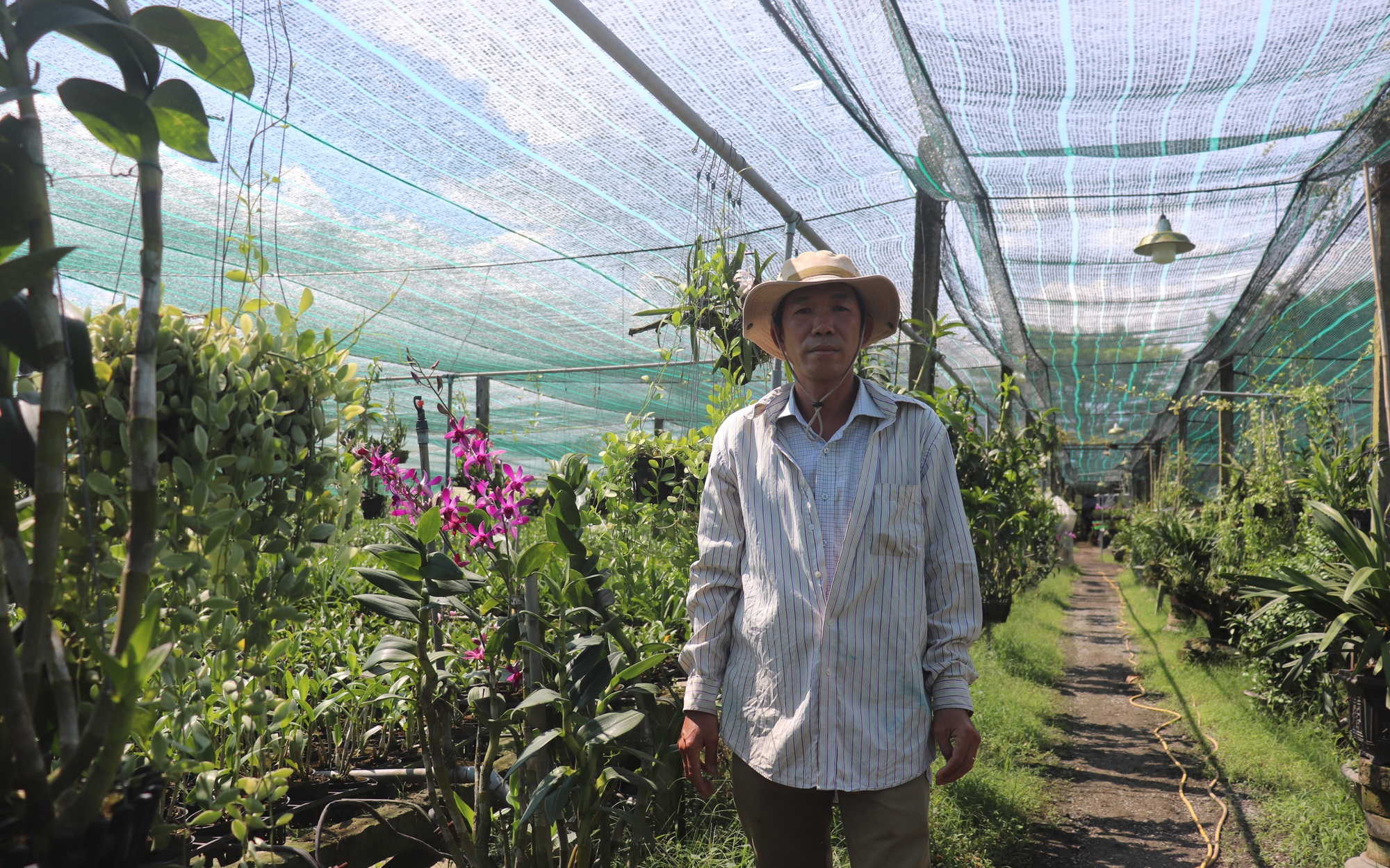 TP.HCM: Sẽ xây dựng bộ tiêu chí OCOP cho sản phẩm cây kiểng, cá cảnh  