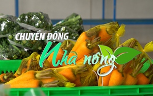 Chuyển động Nhà nông 5/9: Rau quả Việt Nam chỉ chiếm 0,1% tổng lượng nhập khẩu của EU