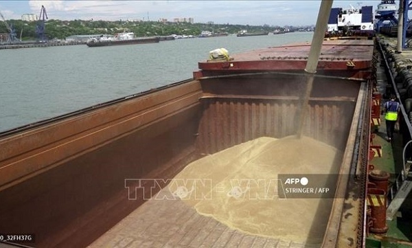 Liên hợp quốc và Nga thảo luận về xuất khẩu ngũ cốc, phân bón
