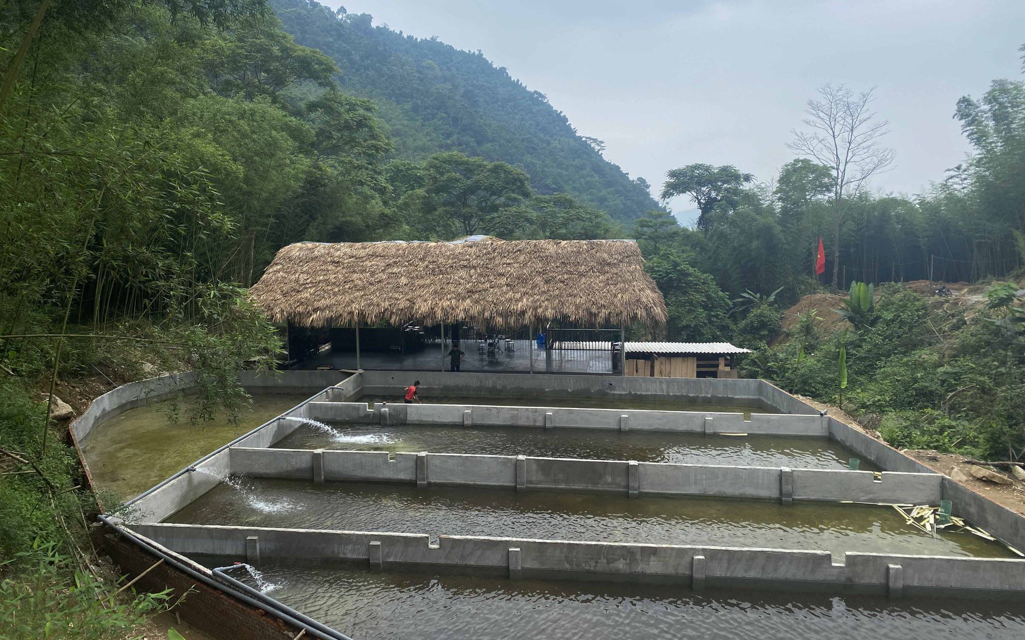 Bắc Kạn: Nuôi cá tầm, cá hồi trên núi cao, chàng trai người Dao bán được cá, khách du lịch kéo đến càng đông