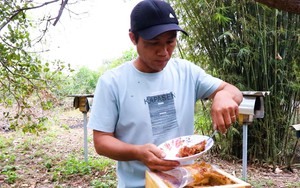 Trại nuôi ong dú độc, lạ "nhả ra" thứ mật ai cũng muốn nếm ở Bình Châu của Bà Rịa-Vũng Tàu