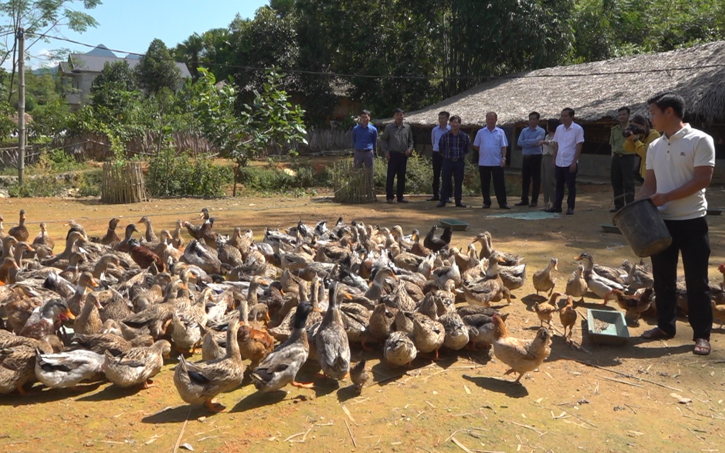 Nông dân Lào Cai khấm khá khi nắm được "lực kéo" từ vốn Quỹ Hỗ trợ nông dân