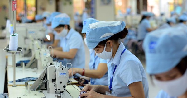 Xuất nhập khẩu hàng hóa của Việt Nam đột ngột giảm