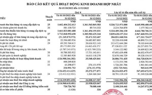 Năm 2022, Thép Tiến Lên (TLH) lãi 7,5 tỷ đồng, gồng lỗ hàng chục tỷ đồng cổ phiếu VIX, IJC, SHB