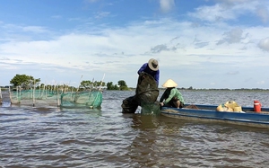 Liệu ĐBSCL có mất lũ lớn, sao 3 năm nay toàn lũ nhỏ?