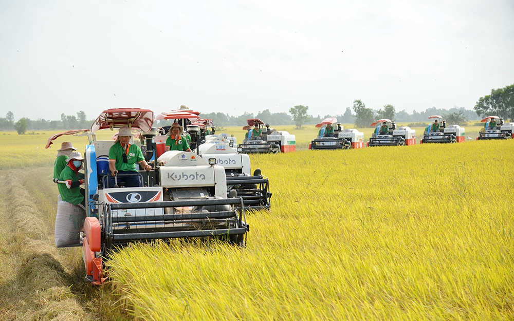 Diễn đàn Nông dân Quốc gia năm 2023: Chủ tịch Hội ND tỉnh An Giang chia sẻ bài học liên kết nông dân- doanh nghiệp