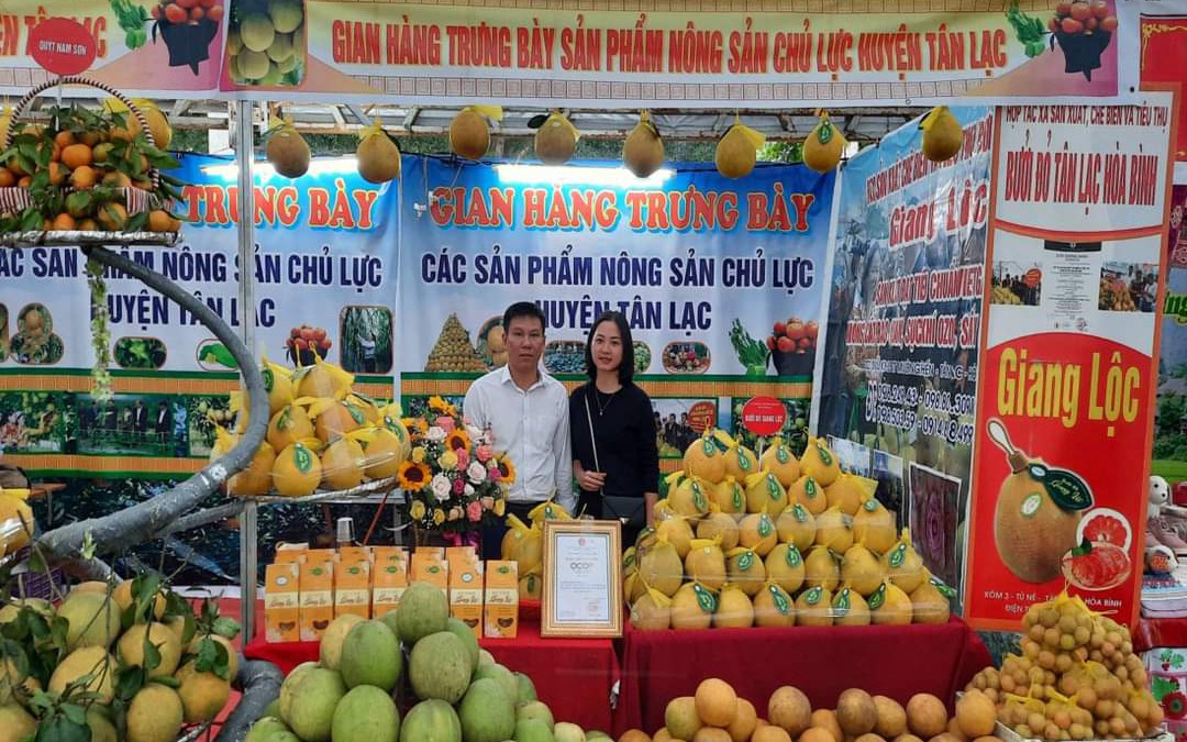 Tạo sinh kế bền vững để người dân Hòa Bình không phải ly hương 