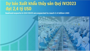 Xuất khẩu thủy sản quý IV có thể đạt 2,4 tỷ USD