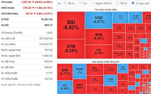 Gần 100 mã chứng khoán giảm sàn, VN-Index có lúc "bốc hơi" hơn 47 điểm