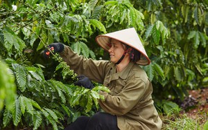 Công ty châu Âu 4 năm liên tiếp nhận danh hiệu "Doanh nghiệp tiêu biểu vì người lao động"