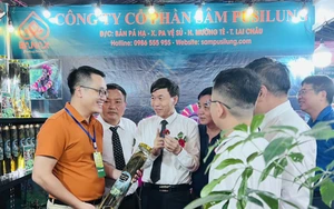 250 gian hàng góp mặt tại Hội chợ Công thương khu vực phía Bắc - Hòa Bình năm 2024- Ảnh 8.