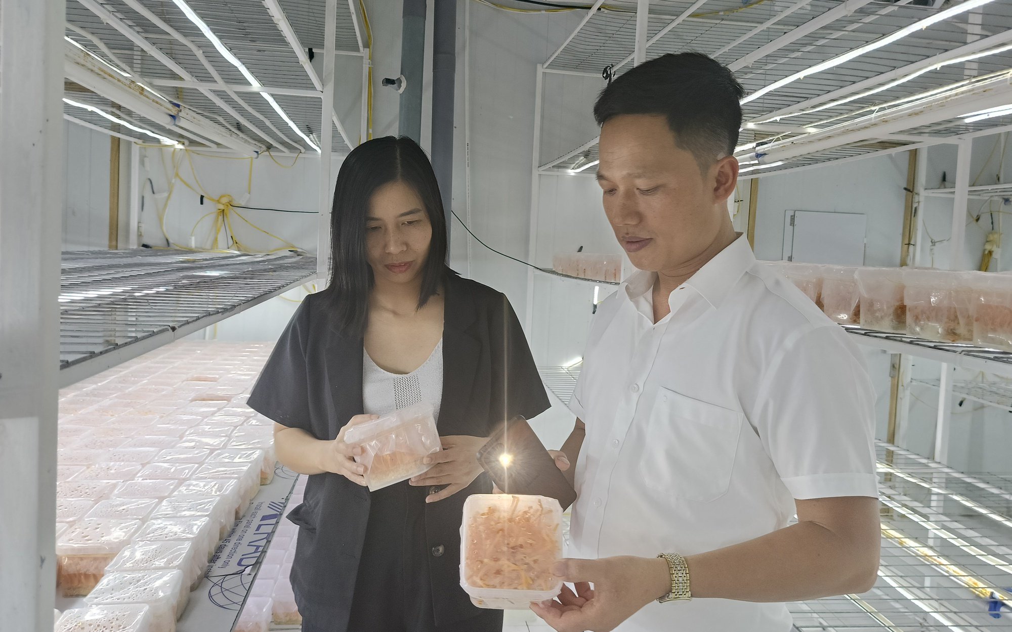 Trồng nấm công nghệ cao, anh nông dân 8X ở Hưng Yên là Nông dân Việt Nam xuất sắc 2023