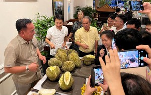 Thu hơn 700 tỷ đồng trong tháng 10, Hoàng Anh Gia Lai có doanh thu cao nhất từ đầu năm