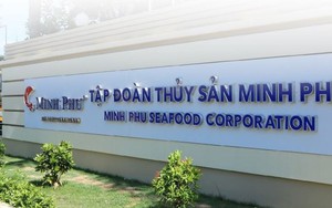 Thủy sản Minh Phú đầu tư gần 633 tỷ đồng xây dựng nhà ở xã hội, kinh doanh thì tiếp tục lỗ