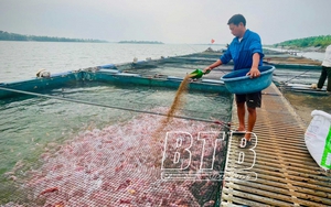 Lai Châu: Nuôi cá lồng trên lòng hồ thủy điện, nông dân Than Uyên khấm khá - Ảnh 7.