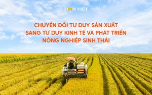 Chuyển đổi tư duy sản xuất sang tư duy kinh tế và phát triển nông nghiệp sinh thái