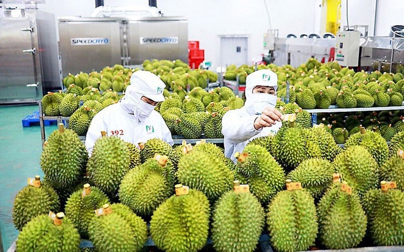 Lai Châu: Tập huấn về xây dựng văn kiện Đại hội Đảng bộ các cấp cho 150 đại biểu - Ảnh 6.