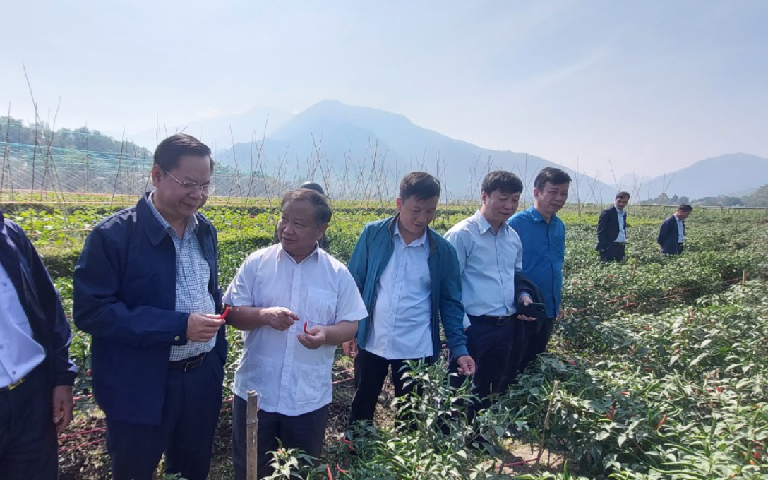 Hướng tới Đại hội VIII Hội NDVN: Hội ND Lai Châu thực hiện hiệu quả Quyết định 81 của Thủ tướng Chính phủ