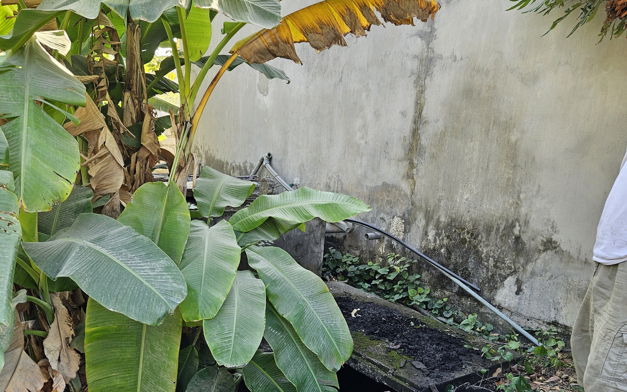 Khởi tố vụ án để điều tra vụ phát hiện bộ hài cốt phụ nữ trong bể nước ở Thủy Nguyên, Hải Phòng