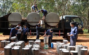 Doanh thu, lợi nhuận lao dốc, Tập đoàn Công nghiệp Cao su hạ kế hoạch lợi nhuận gần 1.000 tỷ đồng